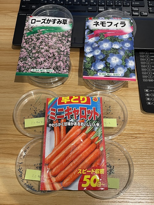 ポリドラムプランター田植え体験/グリーン・エコ㈱アップサイクル活動